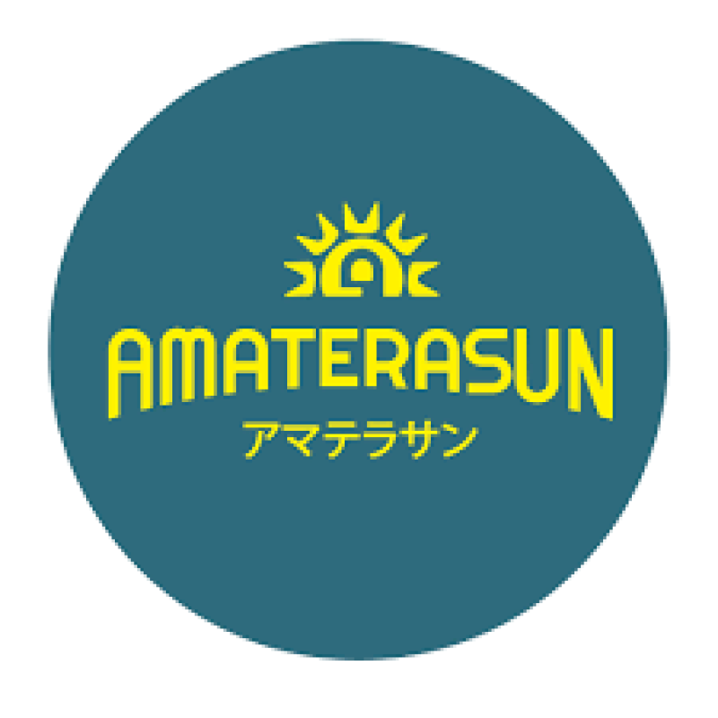 Test Goapp - Single Variant - 11/02/2026